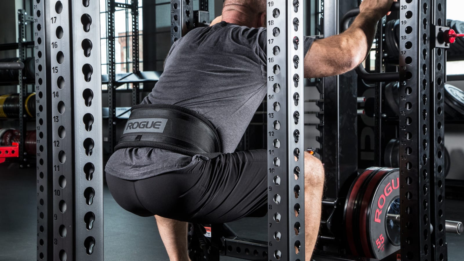 Rogue Monster Rhino Belt Squat - Drop-In | Rogue Fitness ES